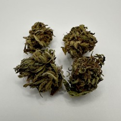 Small buds CBD