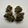 Small buds CBD