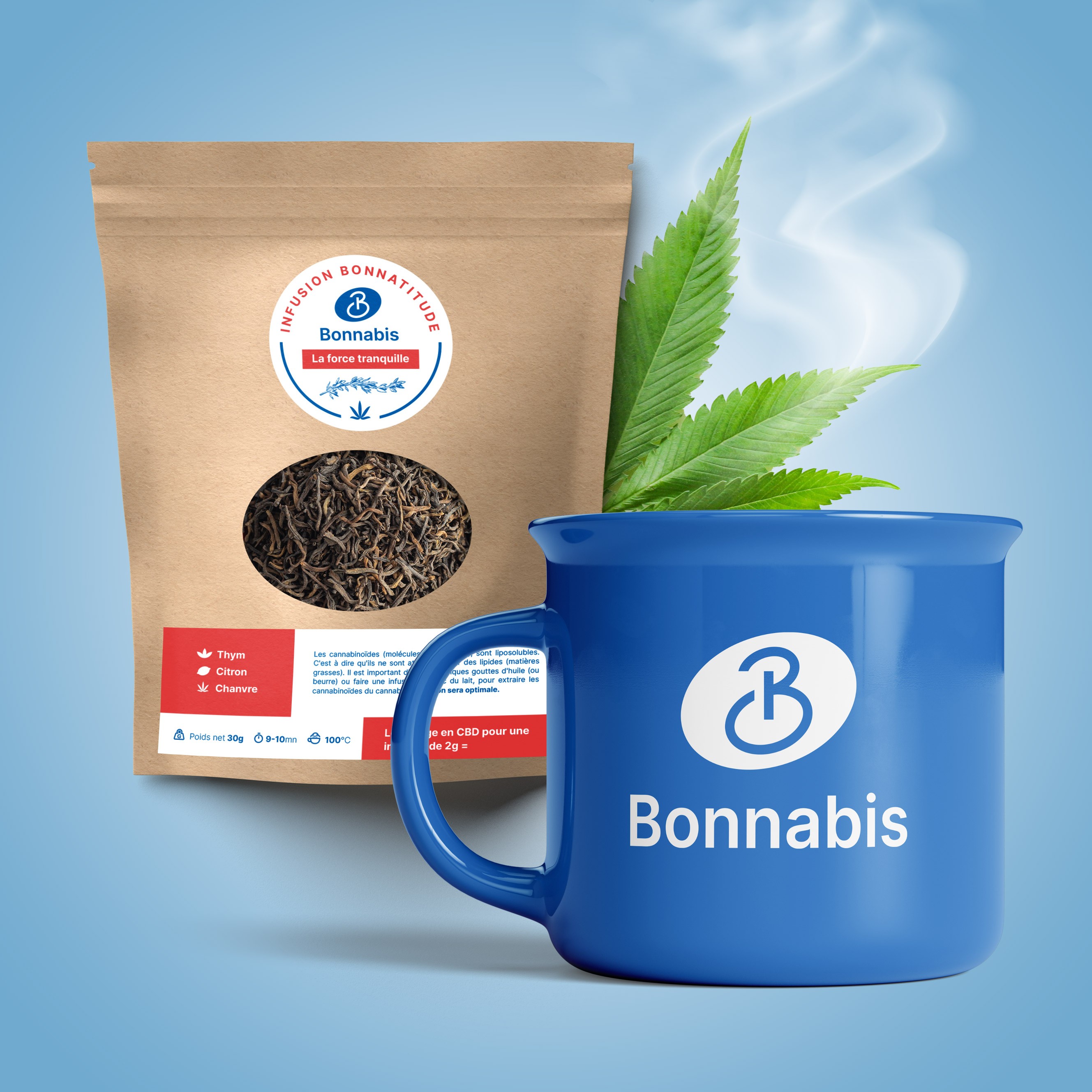 Infusiones bonnactitude