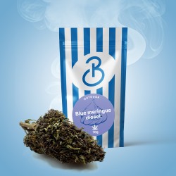 Fleur de CBD Blue Meringue Diesel Outdoor, cultivée en extérieur, riche en CBD