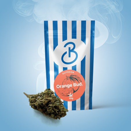 Fleurs CBD Orange bud. CBD BIO Français