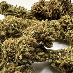 Image de fleurs d'orange bud de près pour voir les trichomes