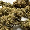 Image de fleurs d'orange bud de près pour voir les trichomes