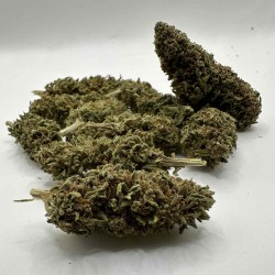 grosse fleurs de CBD the daiquiri factory ou l'on peut observer les trichomes.