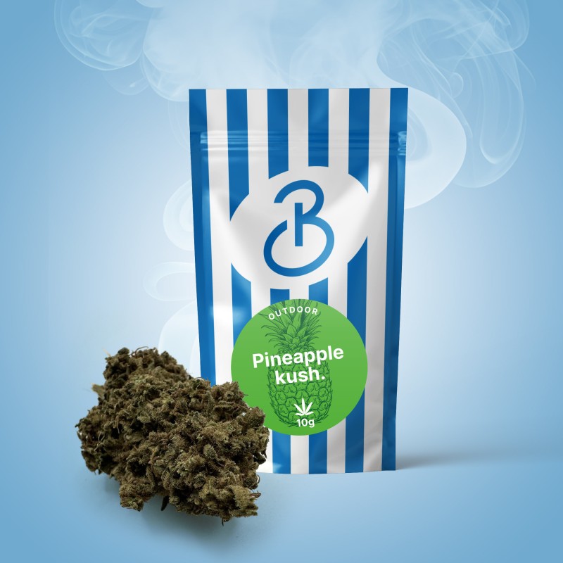 Fleur CBD Pineapple Kush – Outdoor Premium Bonnabis, grosses têtes fruitées au goût d’ananas mûr