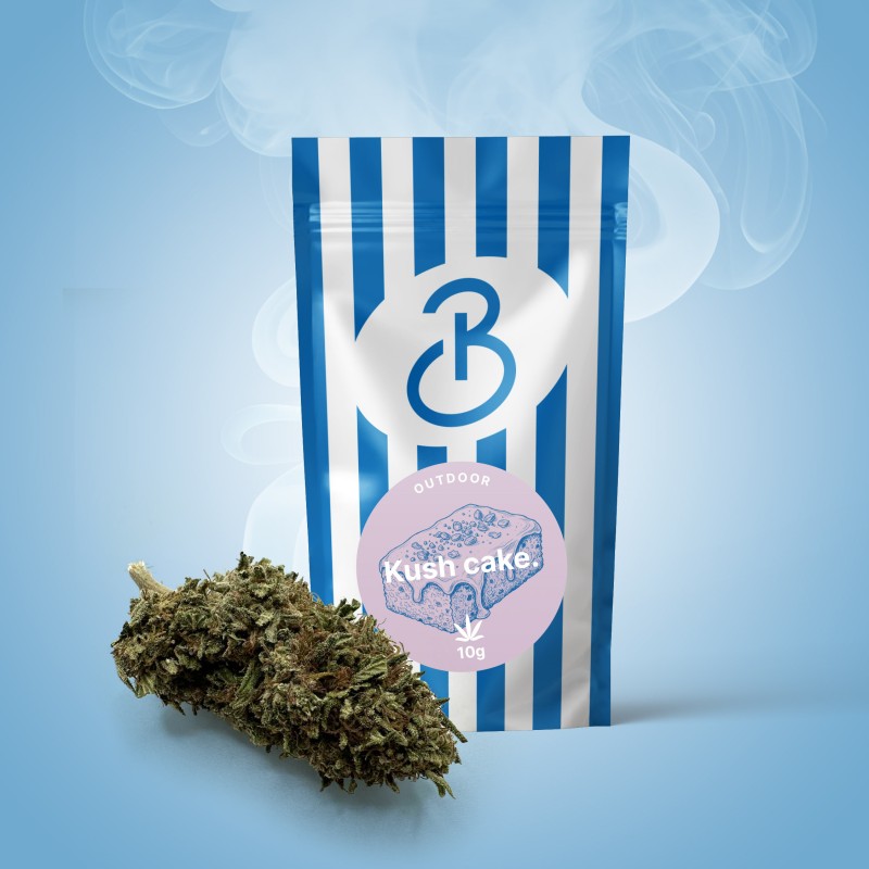 Fleur CBD Kush Cake – têtes très résineuses, arômes biscuit et gâteau.
