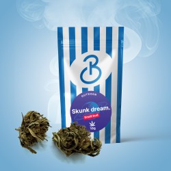 Small Buds CBD Skunk Dream Bonnabis – CBD bloemen outdoor met verpakking