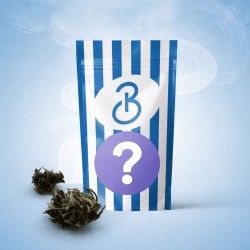 Small Buds Mix CBD Bonnabis – mix van kleine CBD bloemen outdoor