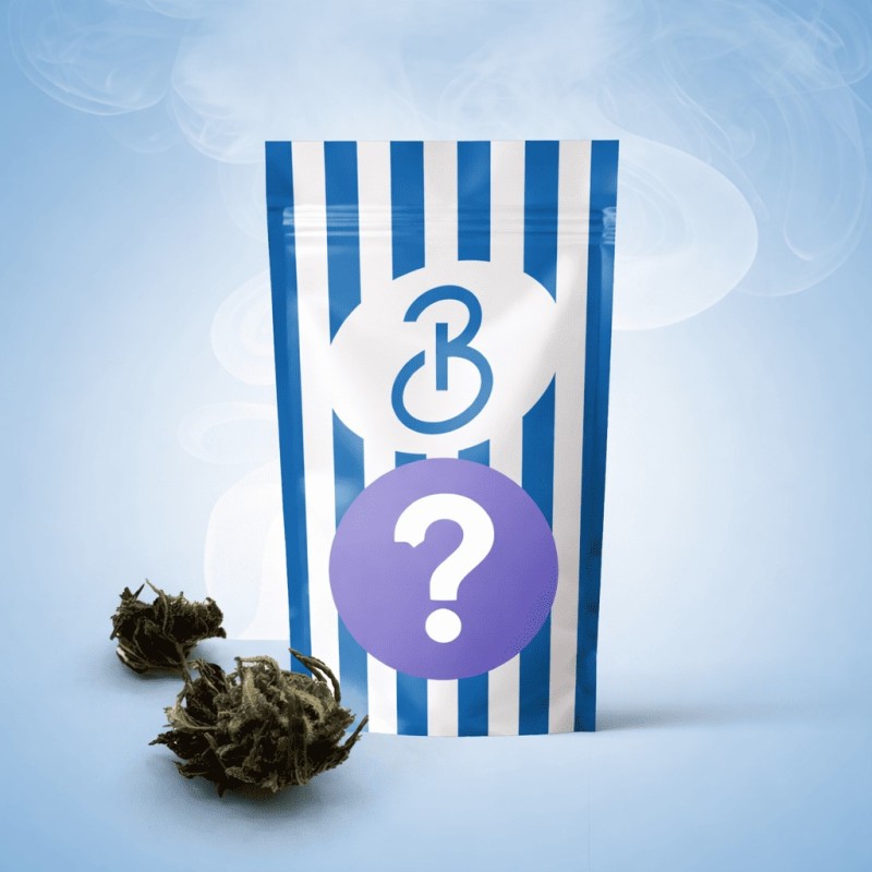 Small Buds Mix CBD Bonnabis – mezcla de cogollos CBD outdoor