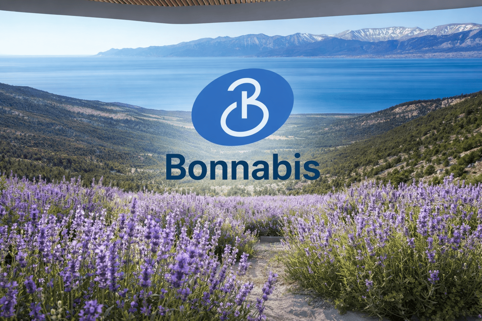 CBD 04: ¿Dónde comprar CBD de calidad en Alpes-de-Haute-Provence?